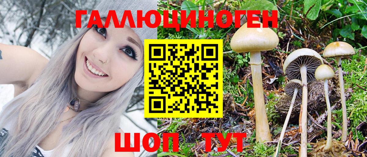 Кропоткин  Галлюциногенные грибы Psilocybine cubensis  Вход с VPN 